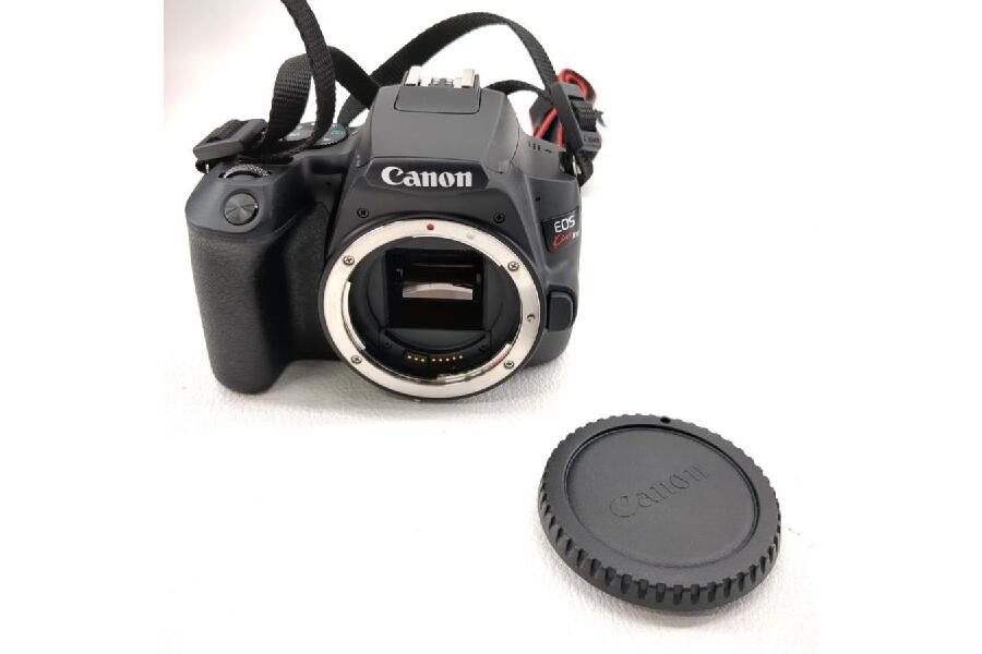 美品】CANON キヤノン EOS Kiss X10 ダブルズームキット EF-S 18-55 STM / EF-S 55-250 STM  デジタル一眼レフカメラ 入荷しました♪｜2024年04月08日｜静岡県のリサイクルショップ ピックアップ掛川店