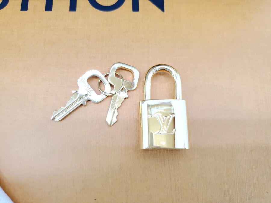 LOUIS VUITTON（ルイヴィトン）M43307 スピーディ30 マスターズ